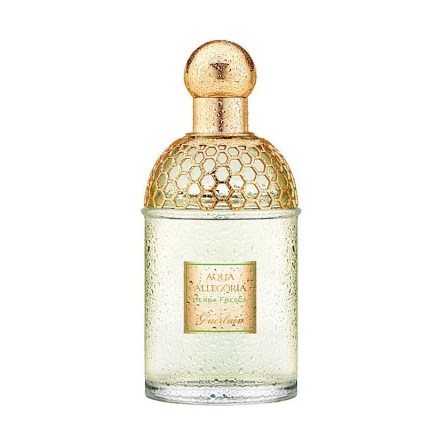 Guerlain Aqua Allegoria Herba Fresca Eau De Toilette 125 Ml 1 Guerlain Aqua Allegoria Herba Fresca Eau De Toilette 125 Ml